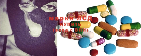 ECSTASY Кукмор
