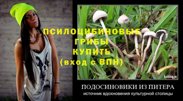 ECSTASY Кукмор