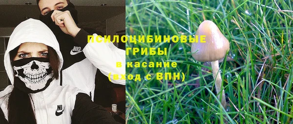 спиды Кулебаки