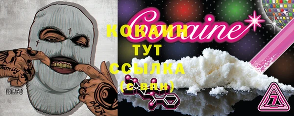 ECSTASY Кукмор