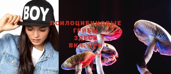 ECSTASY Кукмор