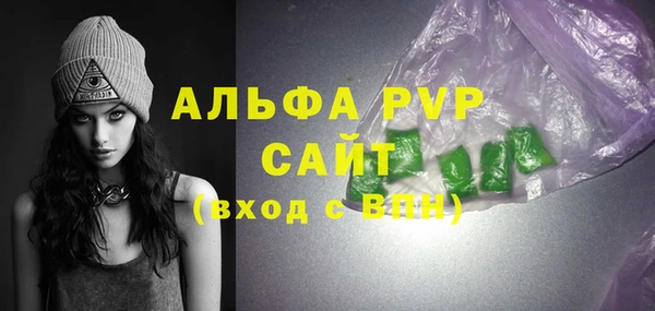 ECSTASY Кукмор