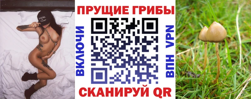 Галлюциногенные грибы мухоморы  Купить  Гаджиево 